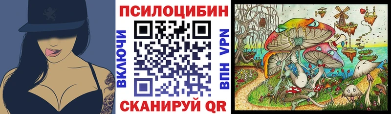 цены наркотик  Озёрск  Псилоцибиновые грибы Cubensis 